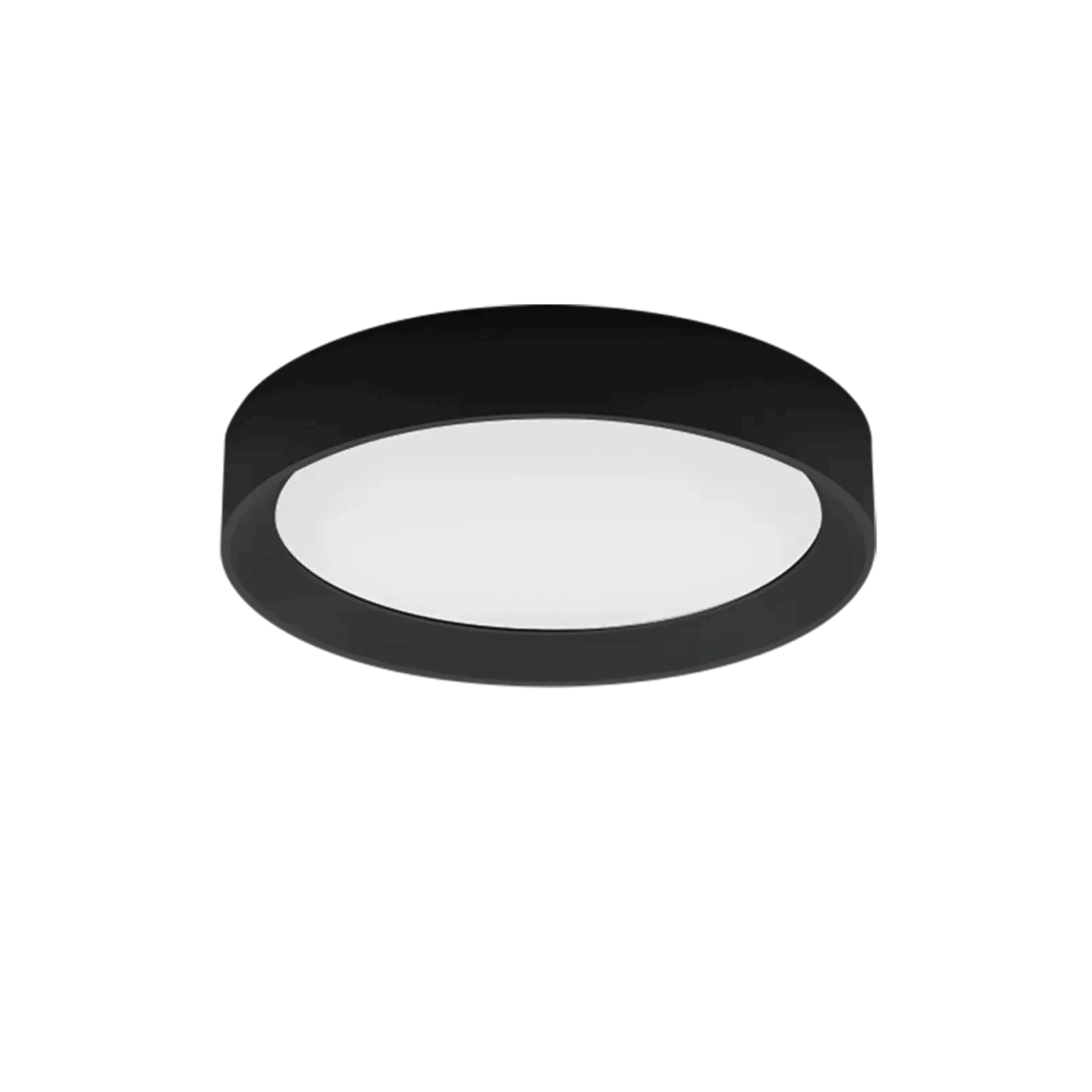Tara R - HI Lighting